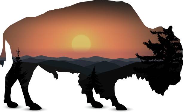 Silhouette of bison Silhouette of bull with mountain landscape. african buffalo stock illustrations