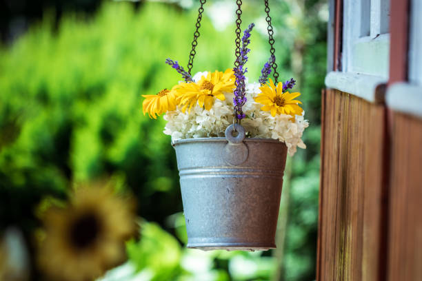 istock Hanging flower pot with colorful flowers 1256670519