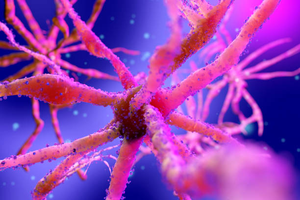 istock 3D rendered Illustration of a Neuronal cell 1256672405