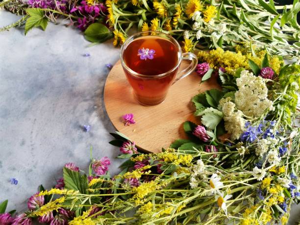 istock floral tea among fresh forest herbs with space for text 1256676693