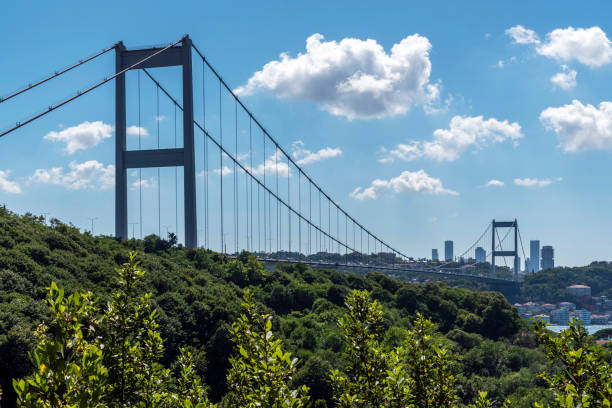 istock Close-up Fatih Sultan Mehmet Bridge 1256676707
