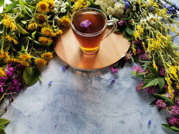 istock forest herbs on a gray table and delicious herbal tea 1256676871