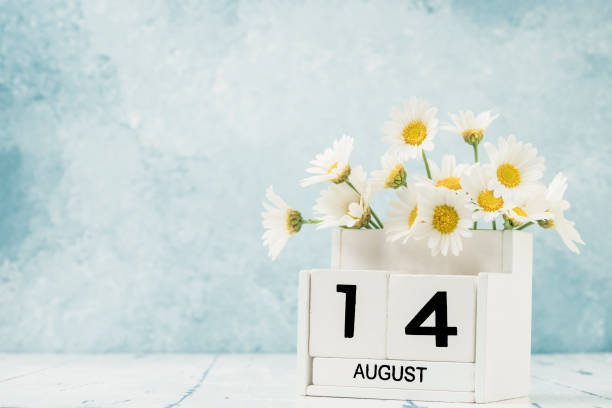 istock White cube calendar for august decorated with daisy flowers 1256680272