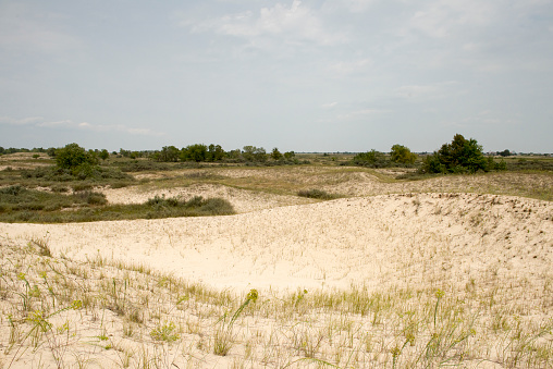 Sand dunes, Stone Harbor, New Jersey, USA