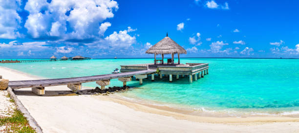 istock Water Villas (Bungalows) in the Maldives 1256686512