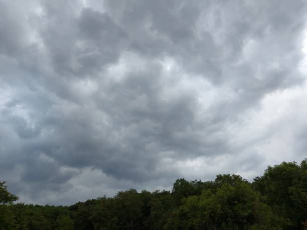 istock Nature art in the sky 1256687712