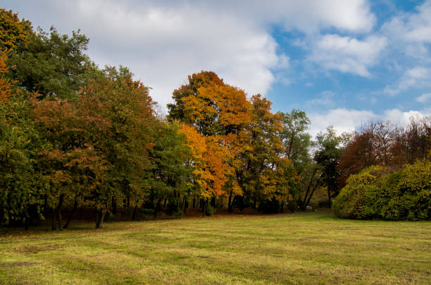 istock Autumn day cloudy sky and trees wiew 1256688400