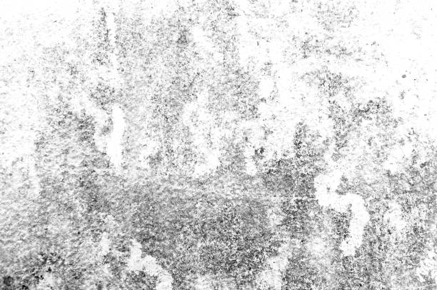 istock Texture black and white abstract grunge style. 1256689245