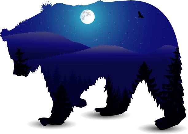 ilustrações de stock, clip art, desenhos animados e ícones de silhouette of bear - fog tree purple winter