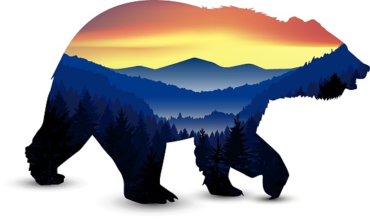 Silhouette of  bear with panorama of mountains. Valley(canyon).  Evening. Aurora.