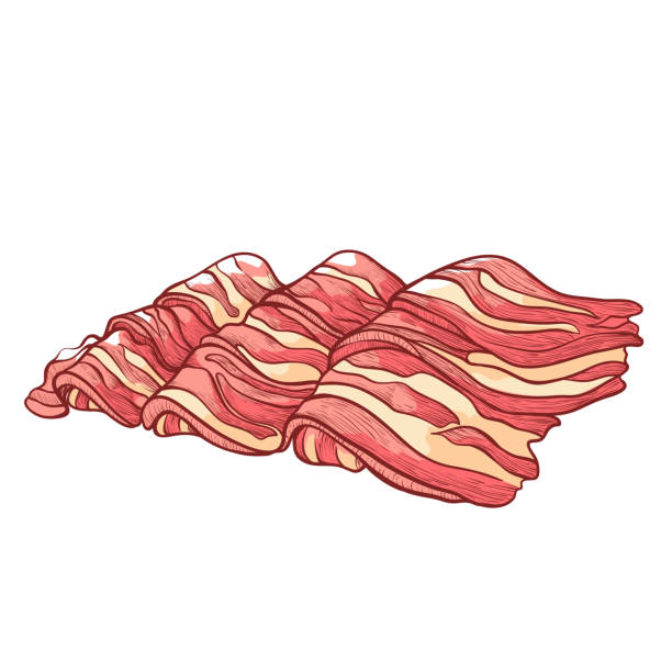 illustrations, cliparts, dessins animés et icônes de du bacon cru. tranches de salo, saindoux, silverside, gammon, jambon. morceaux de viande salée riche en matières grasses. beefsteaks. - fatback