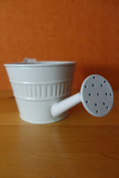 istock Miniature watering can  Handicraft product 1256691580