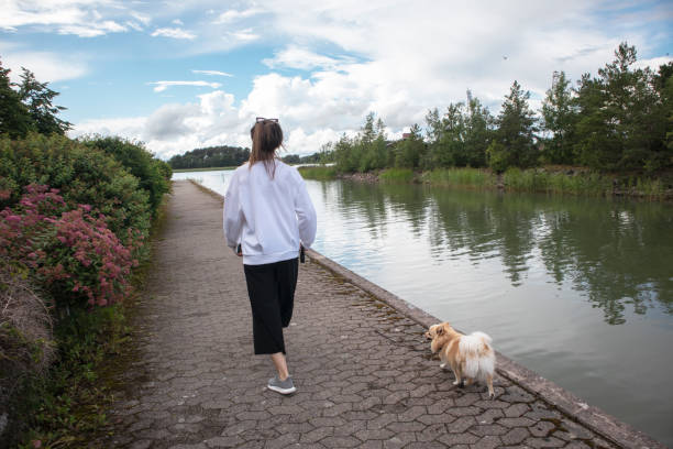 istock Senior dog walking with her owner 1256693046