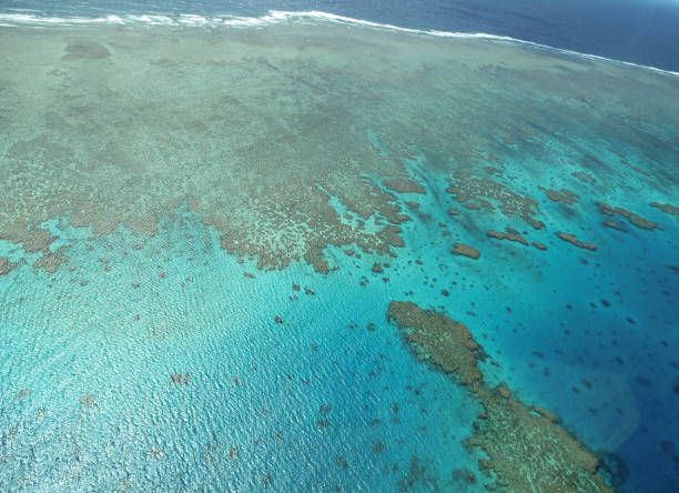 istock Aerial View, Great Barrier Reef 1256693136