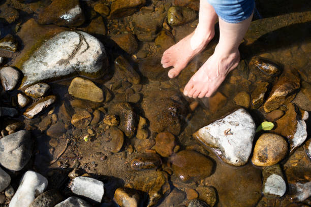 istock Walking Bare Foot in the River 1256699518