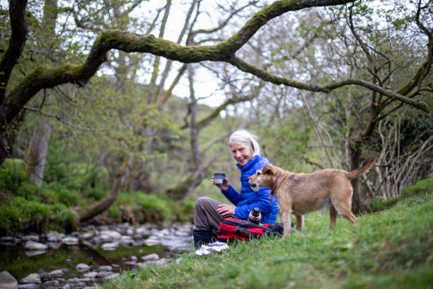 Lunch by the River A shot of a senior, Caucasian woman eating lunch by the river with her dog in Northumberland, Northeastern England. dog disruptagingcollection stock pictures, royalty-free photos & images