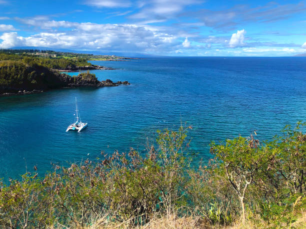 istock Boat along the Road to Hana 1256700233