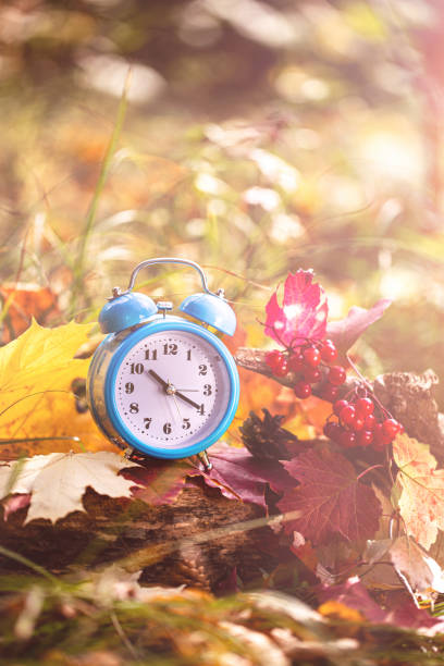 istock Vintage alarm clock and maple tree leaves in autumn forest. 1256704607