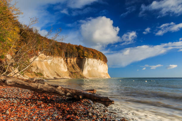 istock Autumn mood on the coast with chalk cliffs 1256705151