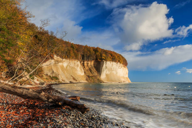 Jasmund National Park on the island of Ruegen. View of chalk cliffs in sunshine and blue sky with clouds on the Baltic Sea coast. Trees and beach section in autumn mood