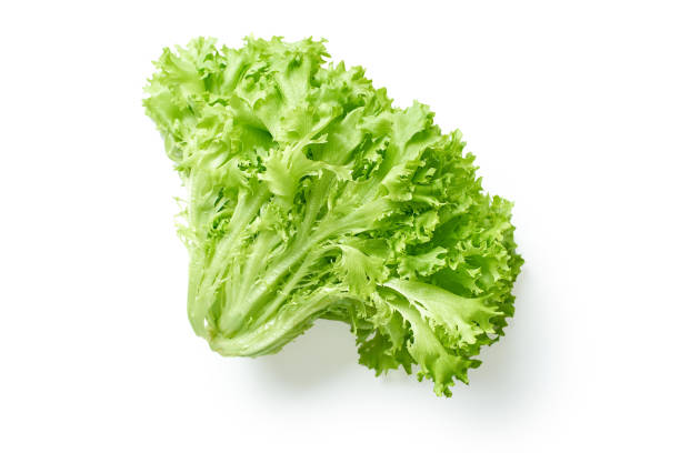 Salad head isolated Fresh lettuce isolated on white background with copy space lettuce leaf stock pictures, royalty-free photos & images