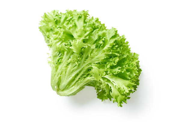 салатная голова изолирована - lettuce стоковые фото и изображения