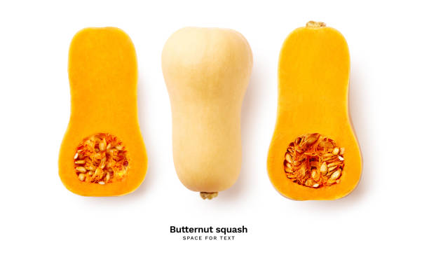 Butternut squash isolated on white background Ripe sliced butternut squash isolated on white background with copy space squash vegetable stock pictures, royalty-free photos & images