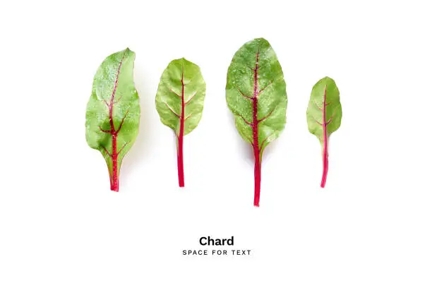 Flat lay with chard leaves isolated on white background with copy space