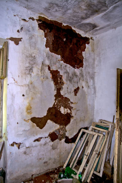 istock Abandoned house in the mountains 1256707516