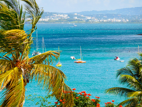 Sailing yachts are anchored in the bay of the island of Martinique in the Caribbean.