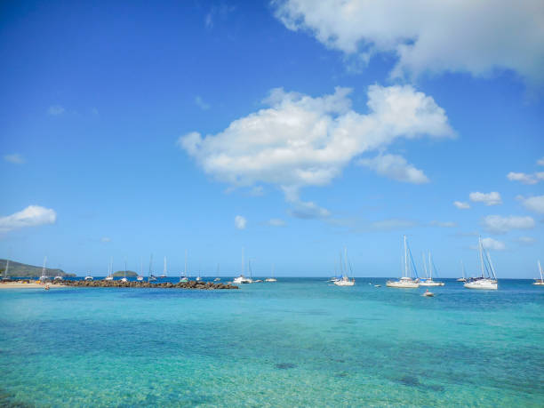 In February 2015, tourists were enjoying the beach of Anse Mitan in Martinique.