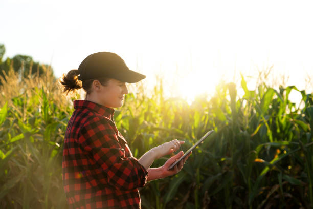 istock Woman farmer with a digital tablet 1256708818