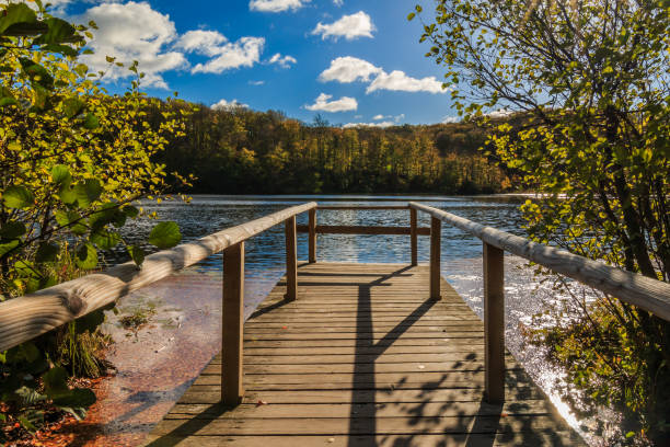 Jetty by the lake in autumn sunshine idyllic view of the lake with a wooden walkway in the sunshine surrounded by deciduous trees. Blue sky with clouds in the Jasmund National Park on the Baltic Sea on the island of Ruegen mecklenburg lake district photos stock pictures, royalty-free photos & images