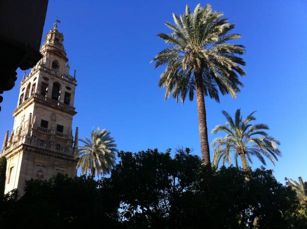 istock Cordoba Cathedral Bell Tower 1256709387