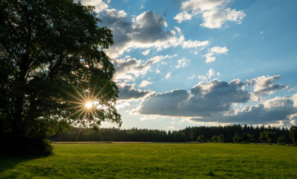 istock evening sun in fields and forests of southern Germany 1256711314