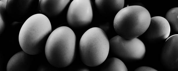 istock Group of eggs in black and white 1256712922