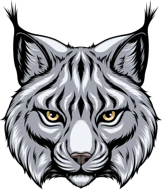 Vector illustration of Lynx head