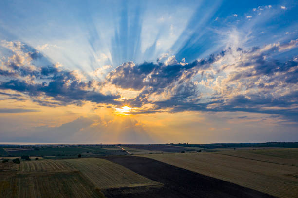 Aerial view of agriculture field's in sunset