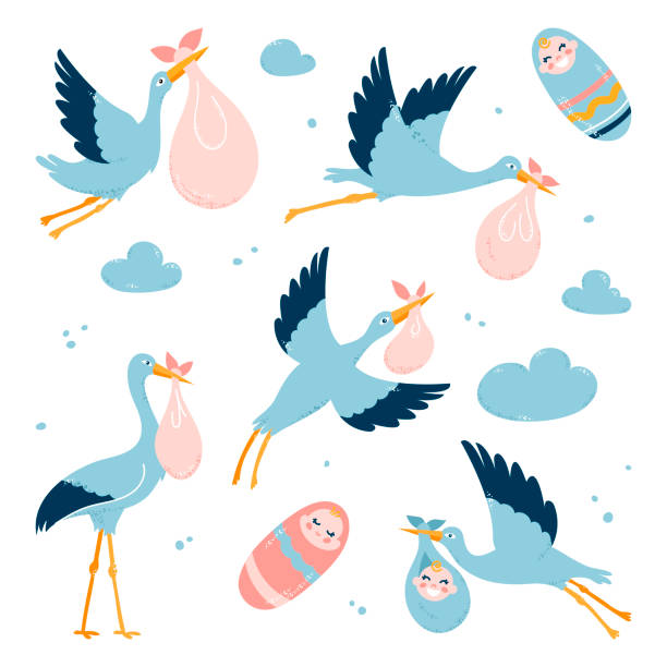 störche tragen kinder zu ihren eltern. fliegende vögel. vektor-illustration auf weißem isoliertem hintergrund - storchenvogel stock-grafiken, -clipart, -cartoons und -symbole