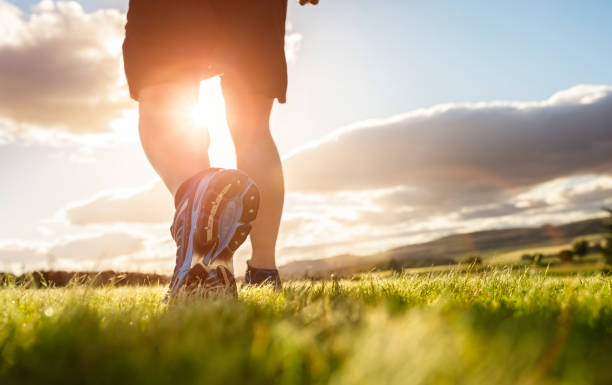 istock Running trail run in early sunrise 1256722023