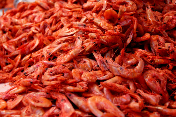 istock dry and salted shrimp 1256725355