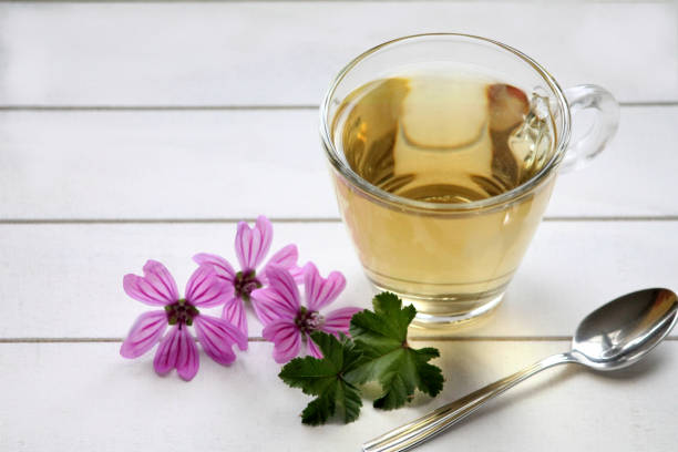 Mauve herbal tea with flower on white wooden table cup of herbal tea with coloured flowers and leaves malva stock pictures, royalty-free photos & images