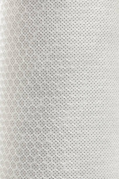 istock carbon filter for water purification with a mesh structure of fishing line, replaceable cartridge for drinking water purification system close up on white background. close up view 1256726764