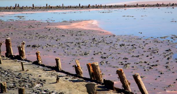 istock Pink Lake or Pink Salt Lake 1256728736