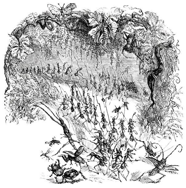 An army of ants working Illustration from 19th century ants teamwork stock illustrations