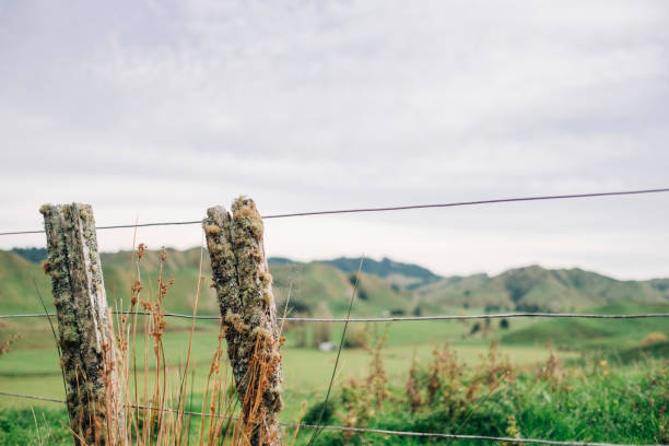 istock Old fence posts and fence on the roadside 1256731740