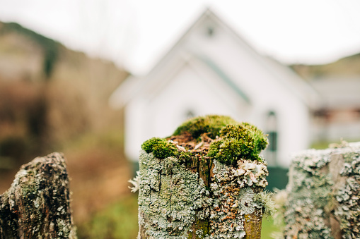 Old fence post with lichen moss in front of church