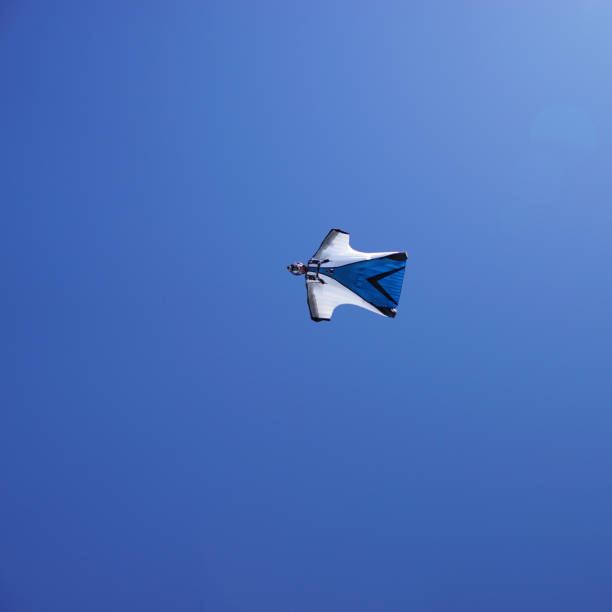 istock Wing suit soars above mountain landscape 1256732131