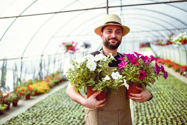 istock Handsome Gardener With His Pride And Joy in Greenhouse 1256732334