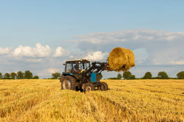 istock Tractor in field lifts up a hay bale. 1256736554